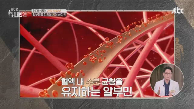 알부민의-효능