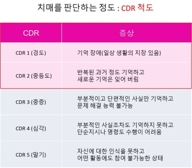 치매 보험 비교