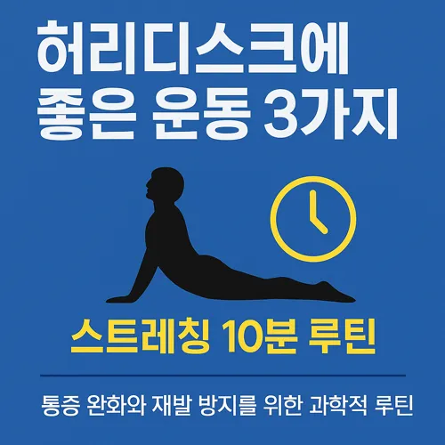 허리디스크에 좋은 운동 3가지 요약 이미지