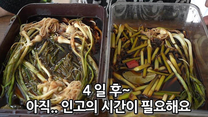 썸네일, 마늘쫑장아찌