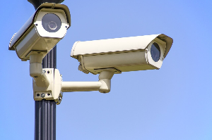 온라인 사기 신고, 대응