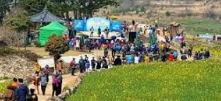 청산도 배편 예약