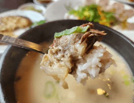 생방송 투데이 설곰탕 설렁탕 곰탕 서울 서초동 양재역