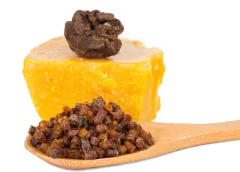 면역력 높이는 영양제 프로폴리스 효능 및 부작용