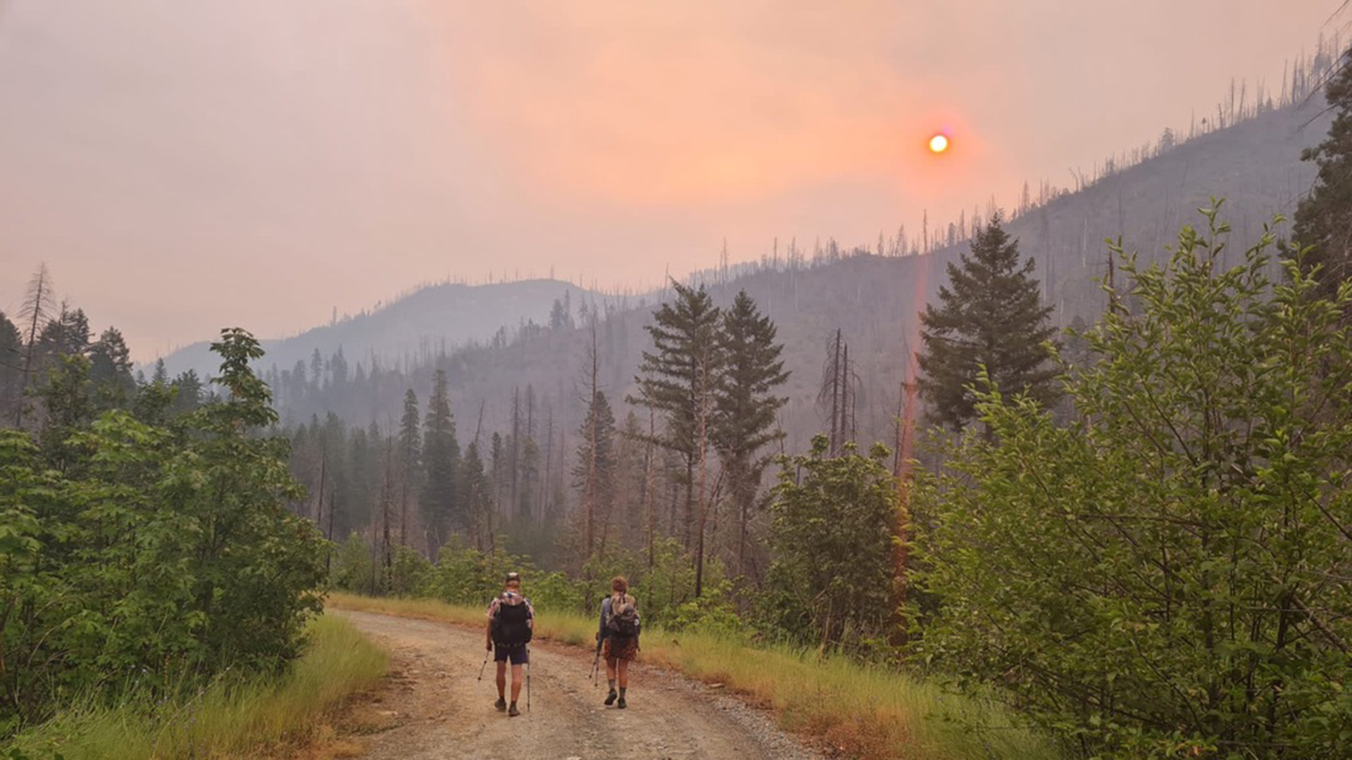 PCT 트레일 도전 전 꼭 알아야 할 준비물 체크리스트