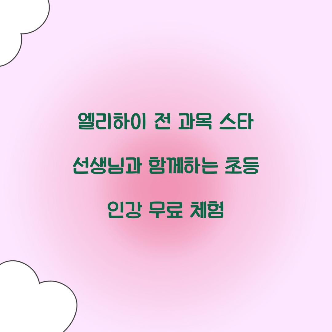 엘리하이 전 과목 스타 선생님
