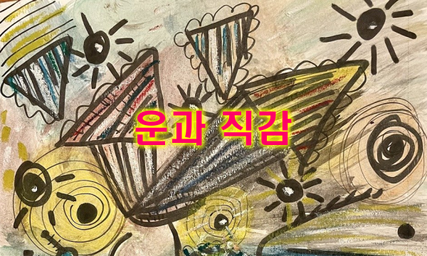 운과 직감