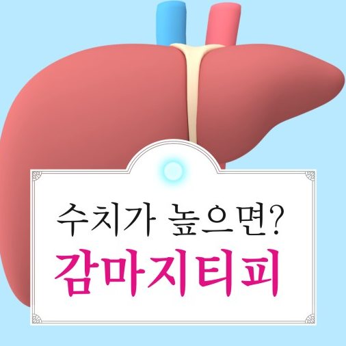 감마지티피 수치 높음 증상 원인 검사 예방 방법