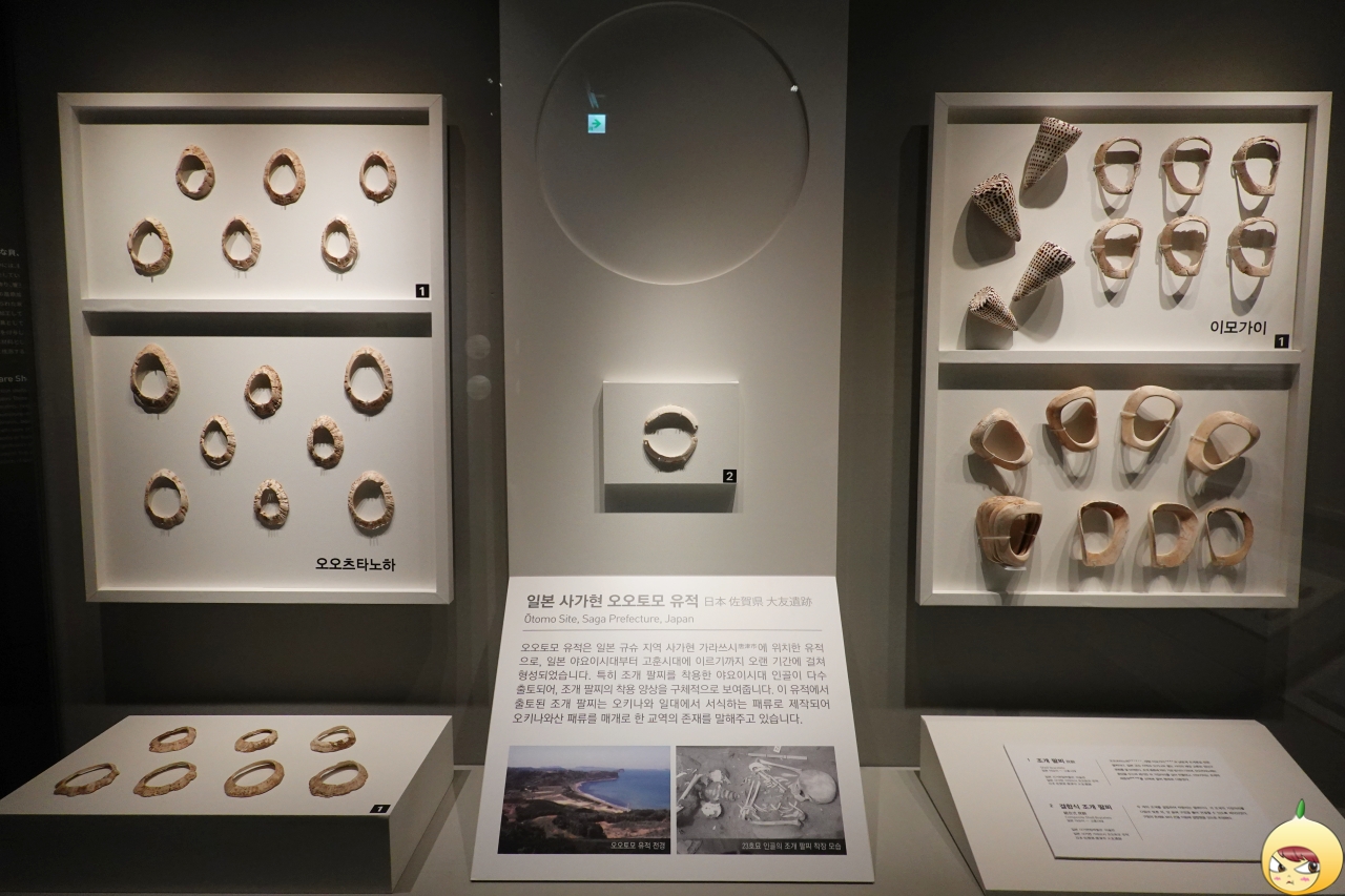 일본 사가현 오오톰 유적에서 출토된 패각 장신구
