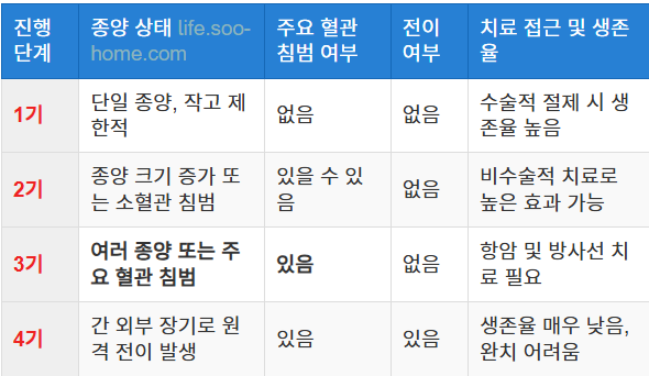 간암 진행 단계별 특징