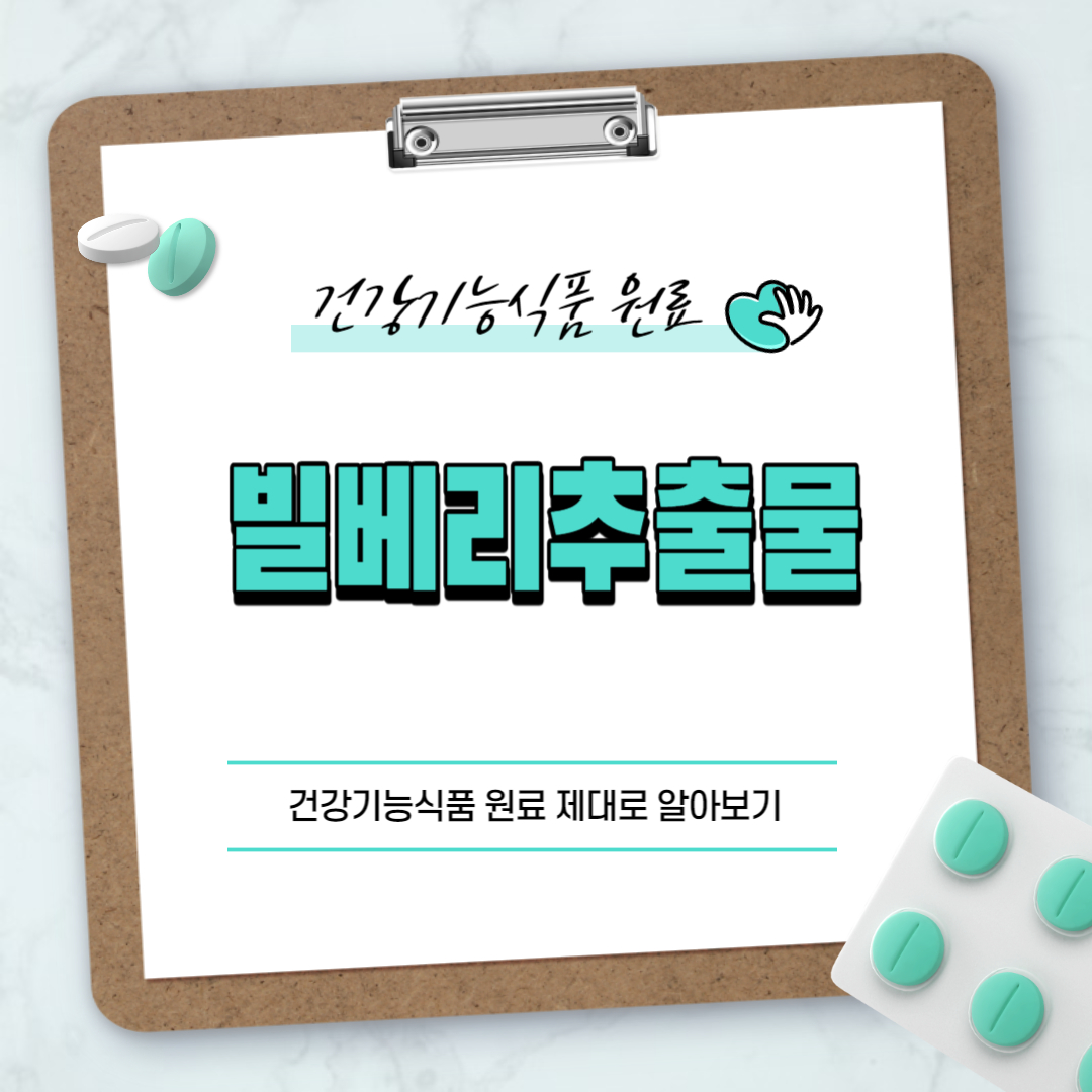 빌베리추출물