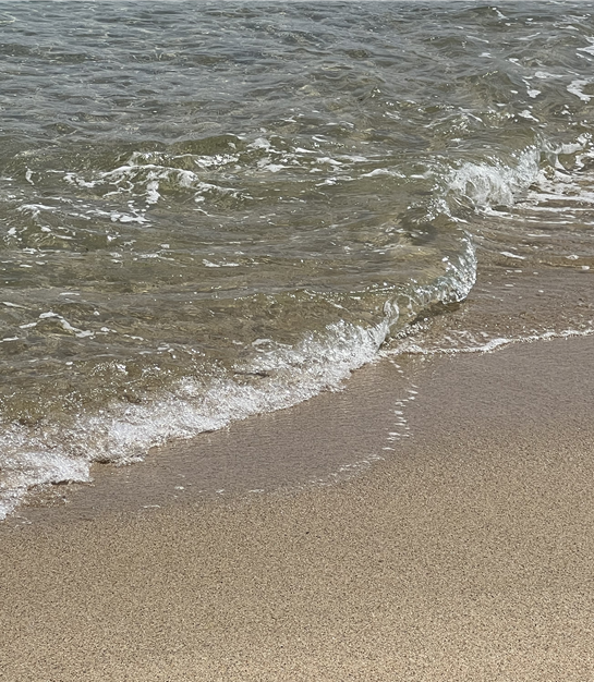 씨마크호텔-향기-오션