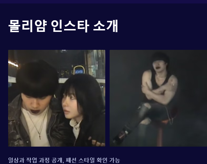 몰리얌 인스타