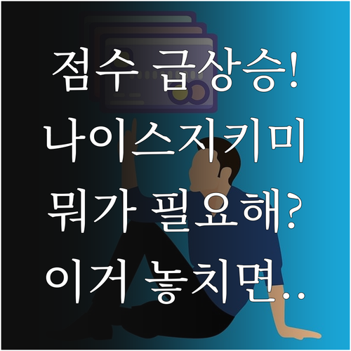 신용점수 올리기 위한 나이스지키미 이..