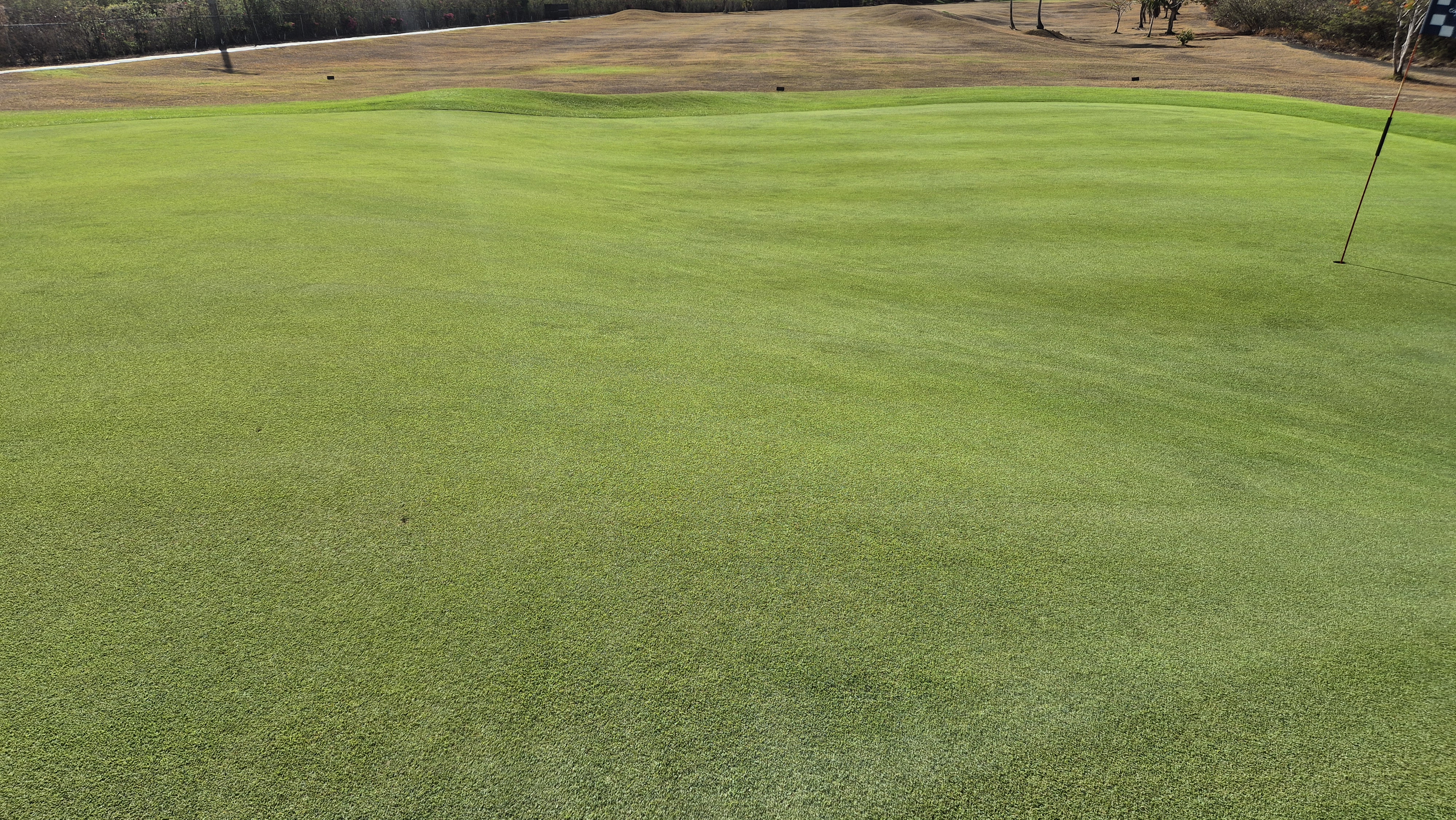 코랄오션cc 골프 라운드