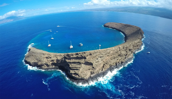 하와이여행 관련사진