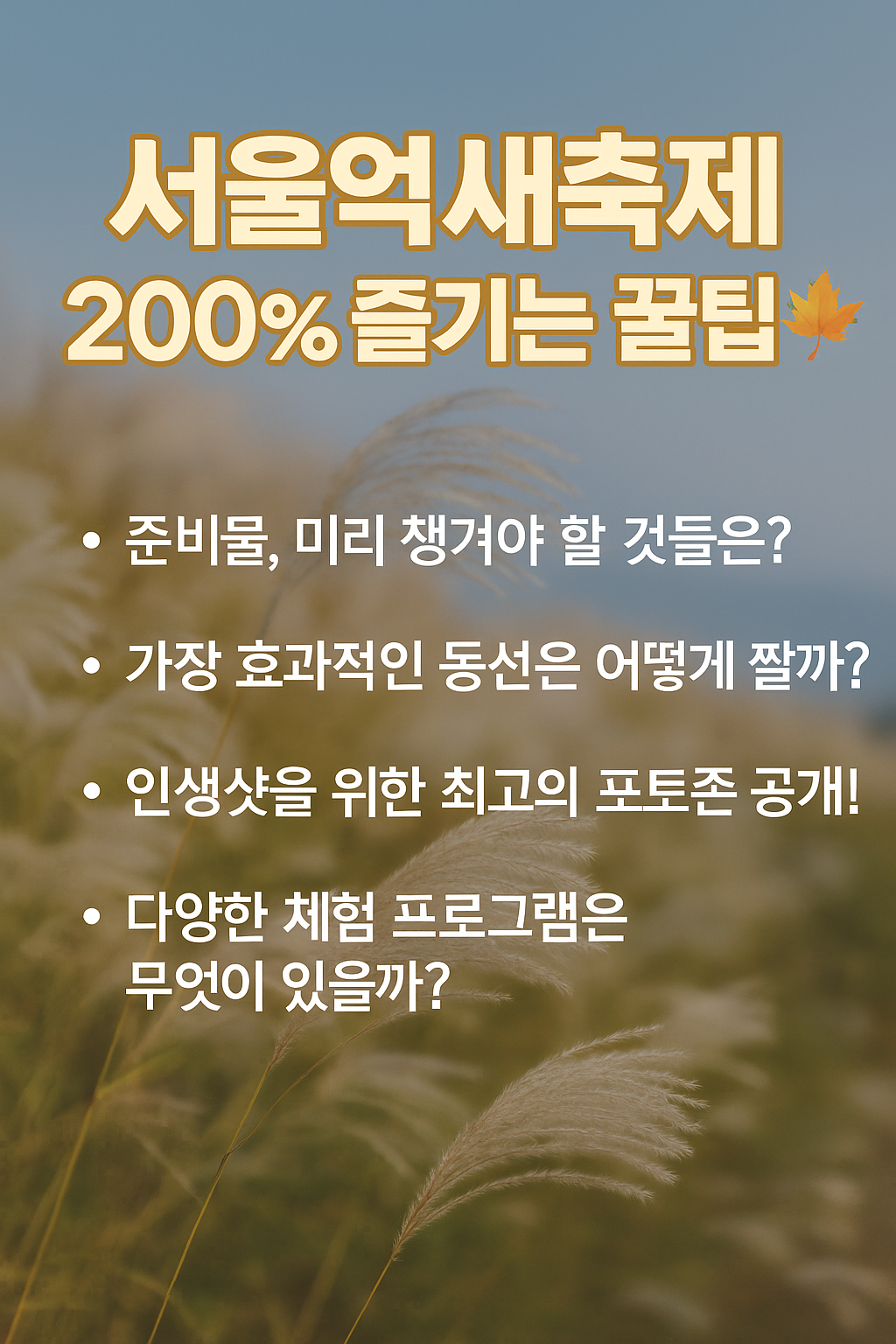 억새축제 200% 즐기는 꿀팁!
