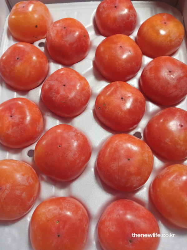 상자에 가지런히 담긴 신선한 단감 실사, 감의 풍부한 영양성과 자연스러운 색감을 보여주는 이미지