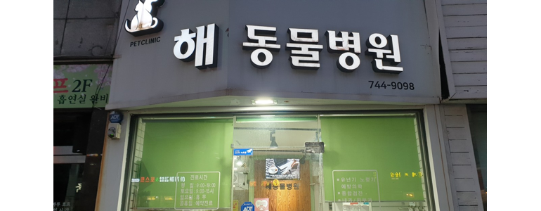 서울 종로구 동물병원