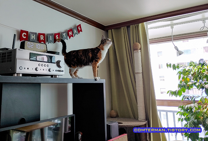 이케아 TV 장식장 고양이