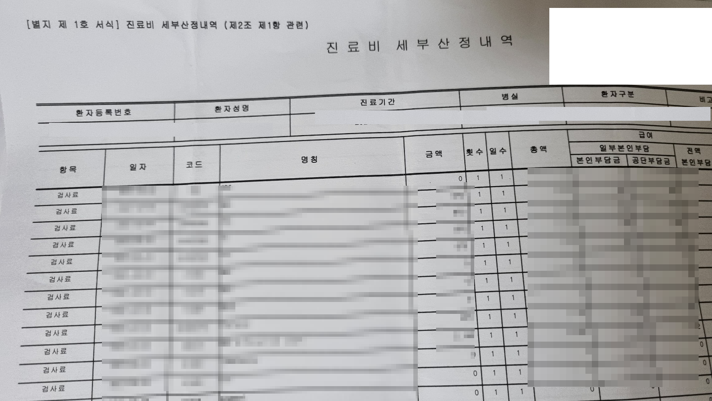 진료비-세부산정내역서-양식-모자이크-이미지