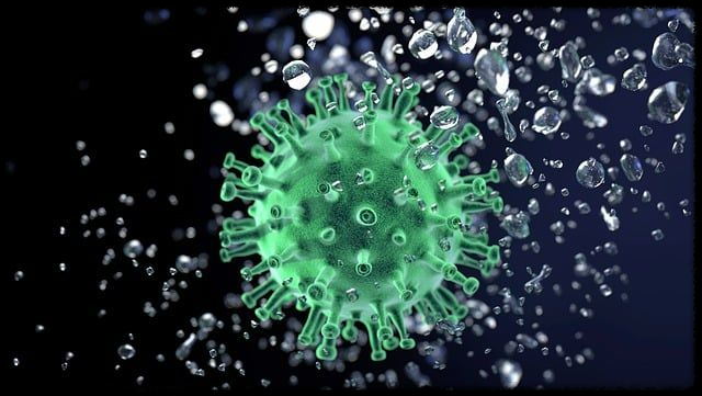 독감, 코로나19 동시 무료접종 시작! 꼭 알아야 할 사항