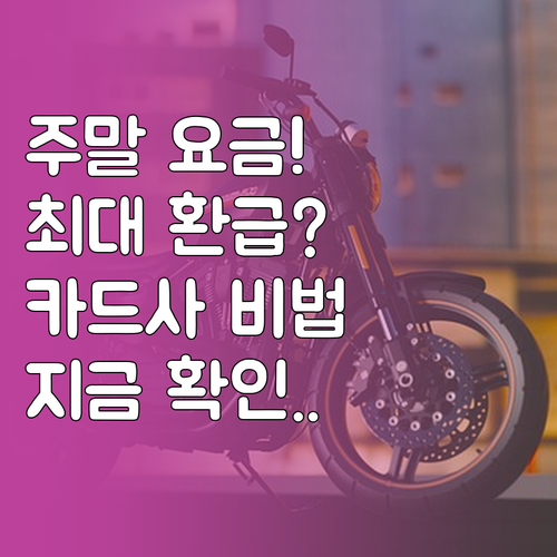 대중교통 주말 요금 최대 환급 조건 ..