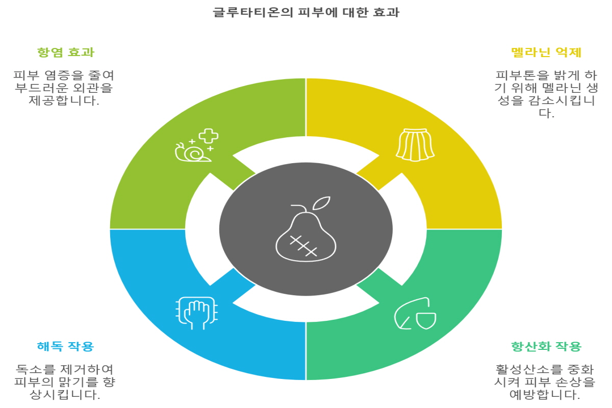 글루타티온 효능
