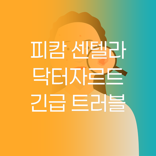 피캄 센텔라 스팟vs닥터자르트 티트리