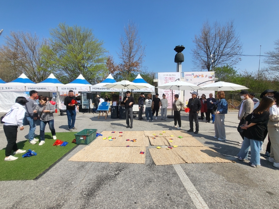 김제 꽃빛드리 축제 기본일정과 프로그램 소개