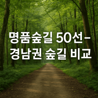 역사와 일상, 바다가 있는 길 &ndash; 경남권 명품숲길 비교 가이드