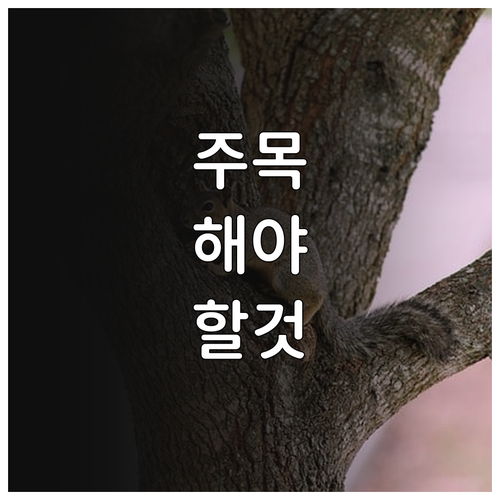 2025 연천군 보행보조차 지원 낙상..