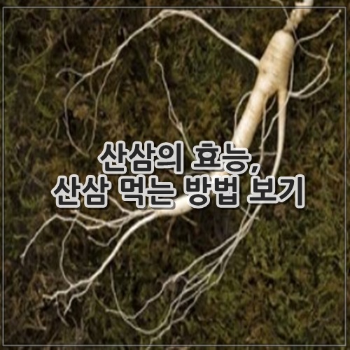 산삼의 효능, 산삼 먹는 방법 보기