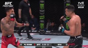 정찬성 할로웨이