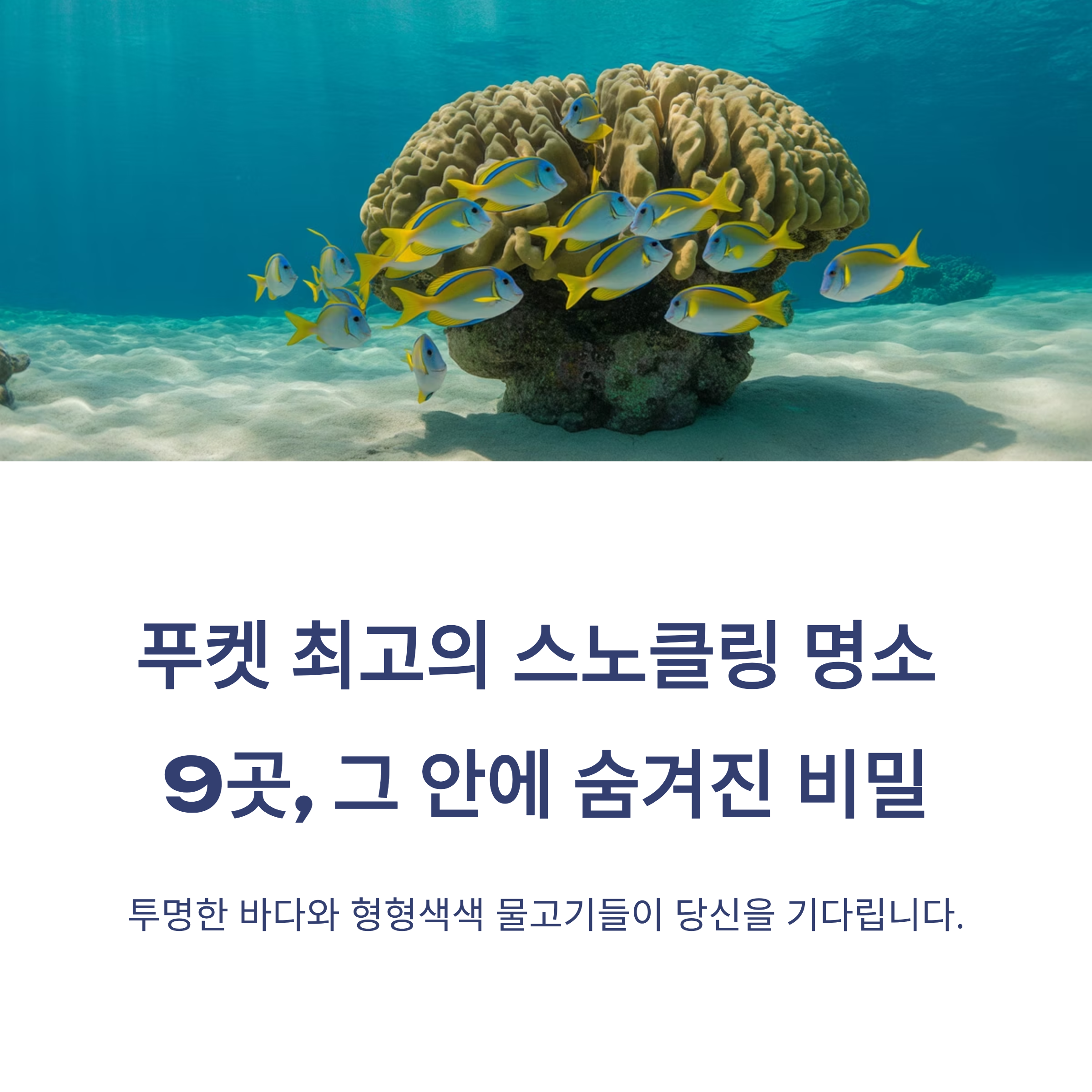 푸켓비치 스노클링 명소와 해양 액티비티 가이드