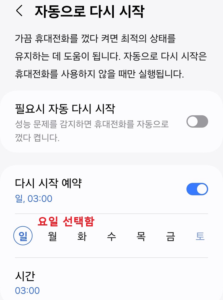 요일 선택 란 보임