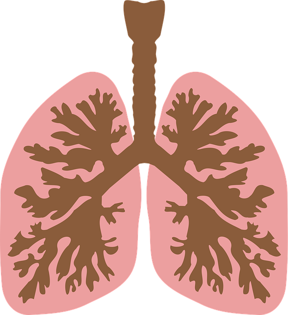 기관지염 증상과 원인, 치료까지