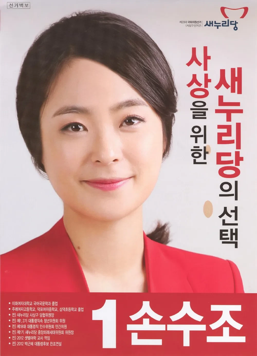 손수조 정치 경력