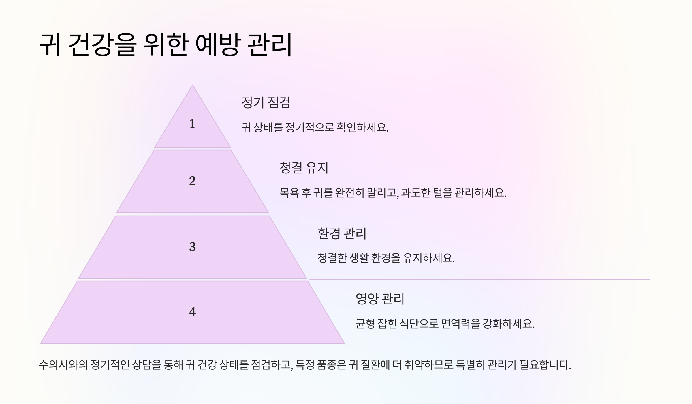 귀 건강을 위한 예방 관리