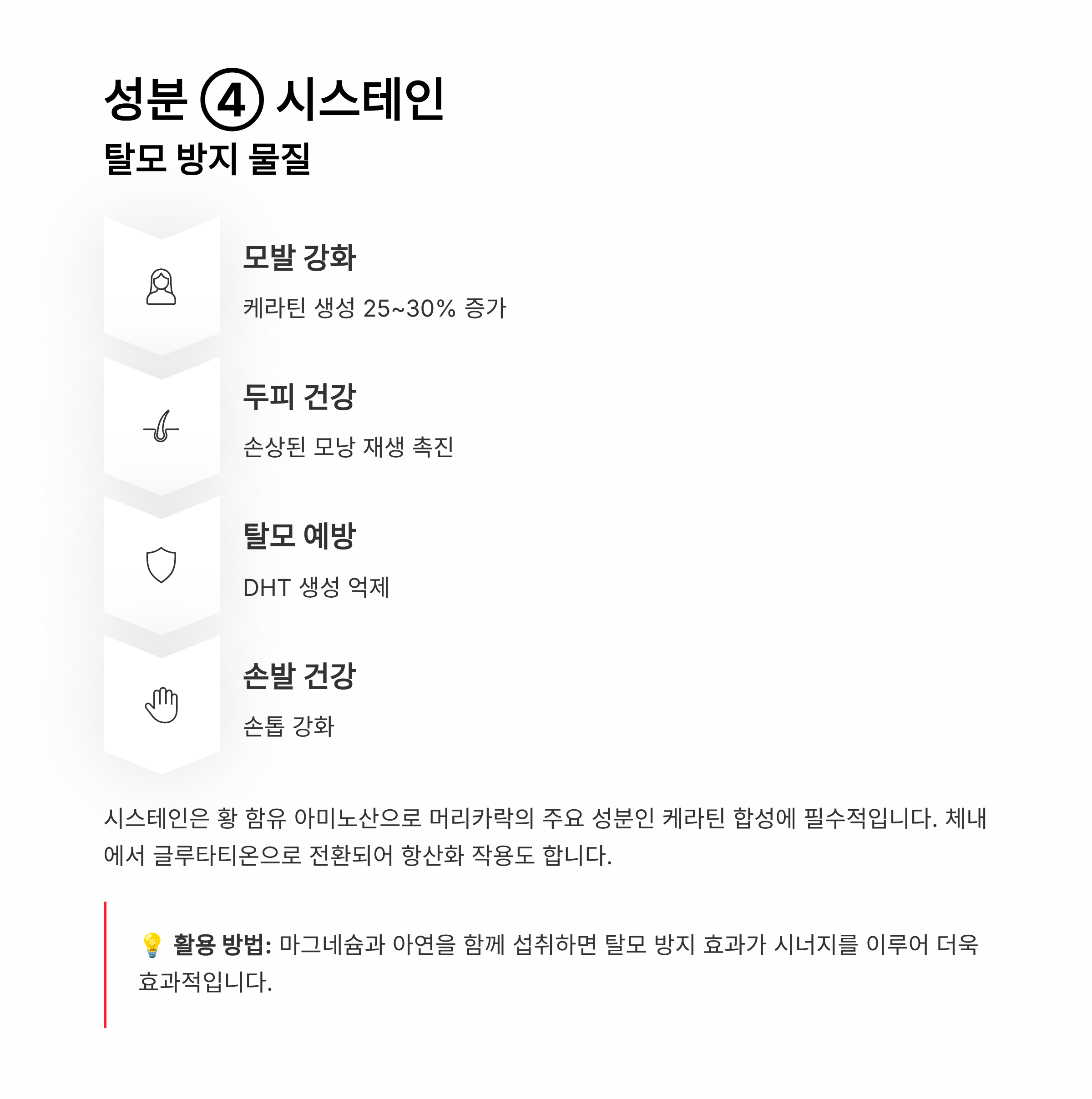 검은콩 영양성분 2025 완벽 가이드 &ndash; 한 줌 속 숨겨진 7가지 슈퍼 성분 총정리!