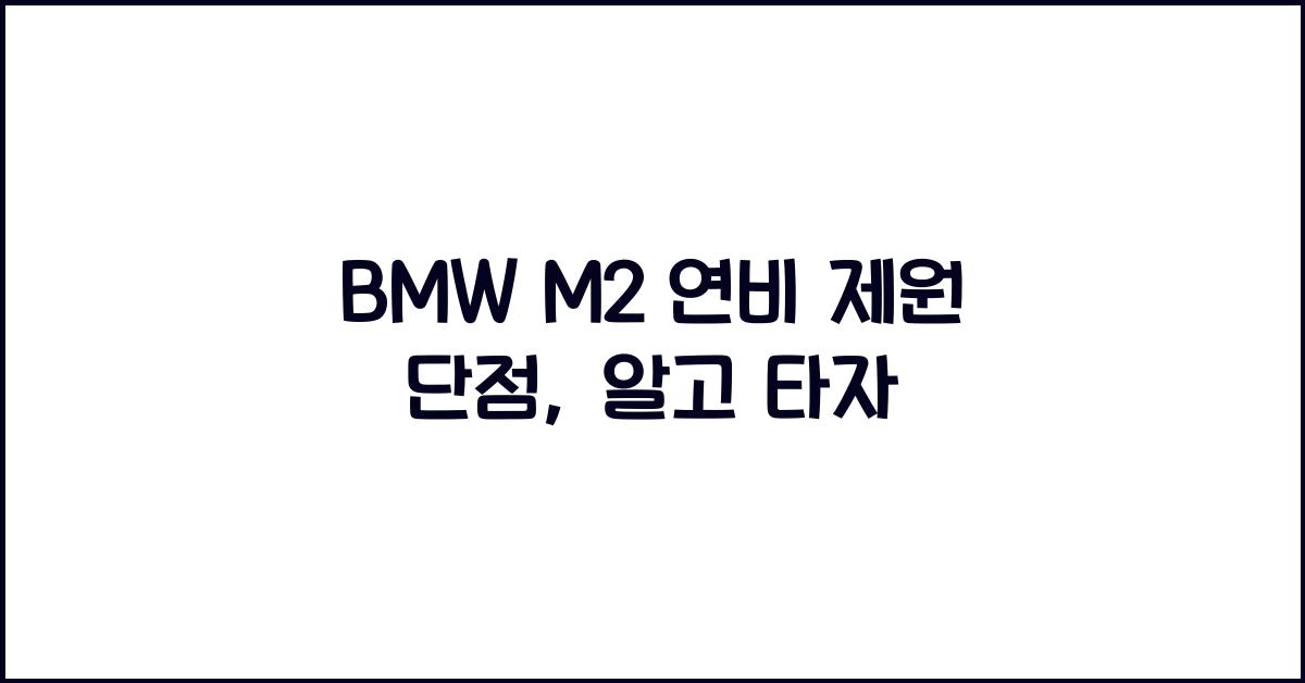 BMW M2 연비 제원 단점