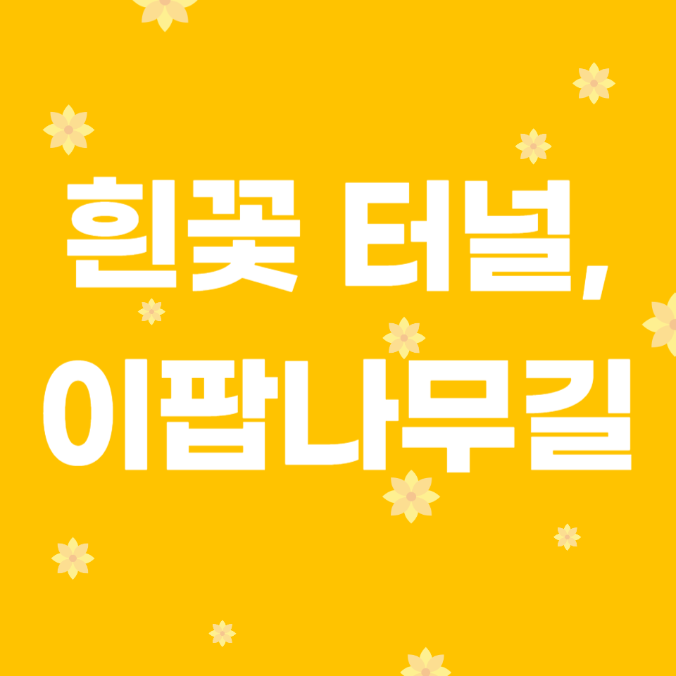 5월 꽃길 여행, 이팝나무길 필수코스