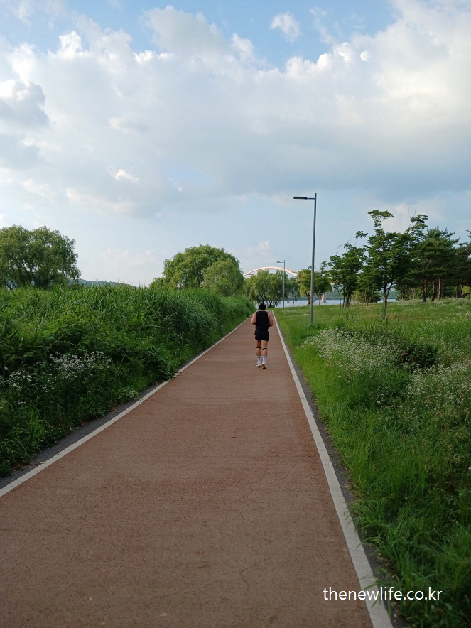 • A woman walking alone on a clear red jogging track with blue sky and green trees./푸른 하늘과 초록 풀숲 사이, 붉은 조깅 도로 위를 혼자 걷는 여성.