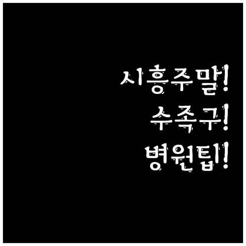 시흥시 주말 진료 가능한 수족구 병원..