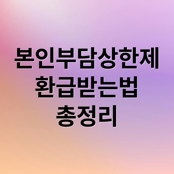 본인부담상한제 A to Z: 환급 대상, 신청 방법, 예상 금액까지!