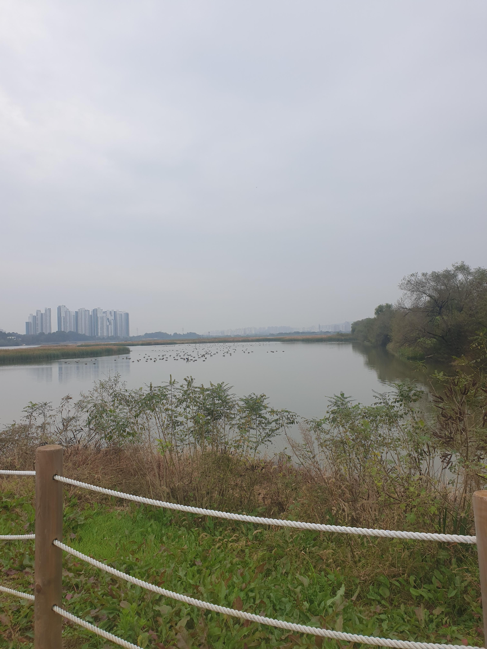 넓은 호수에는 새가 앉아 있고 호수 앞쪽은 갈색으로 변한 갈대들이 보인다.