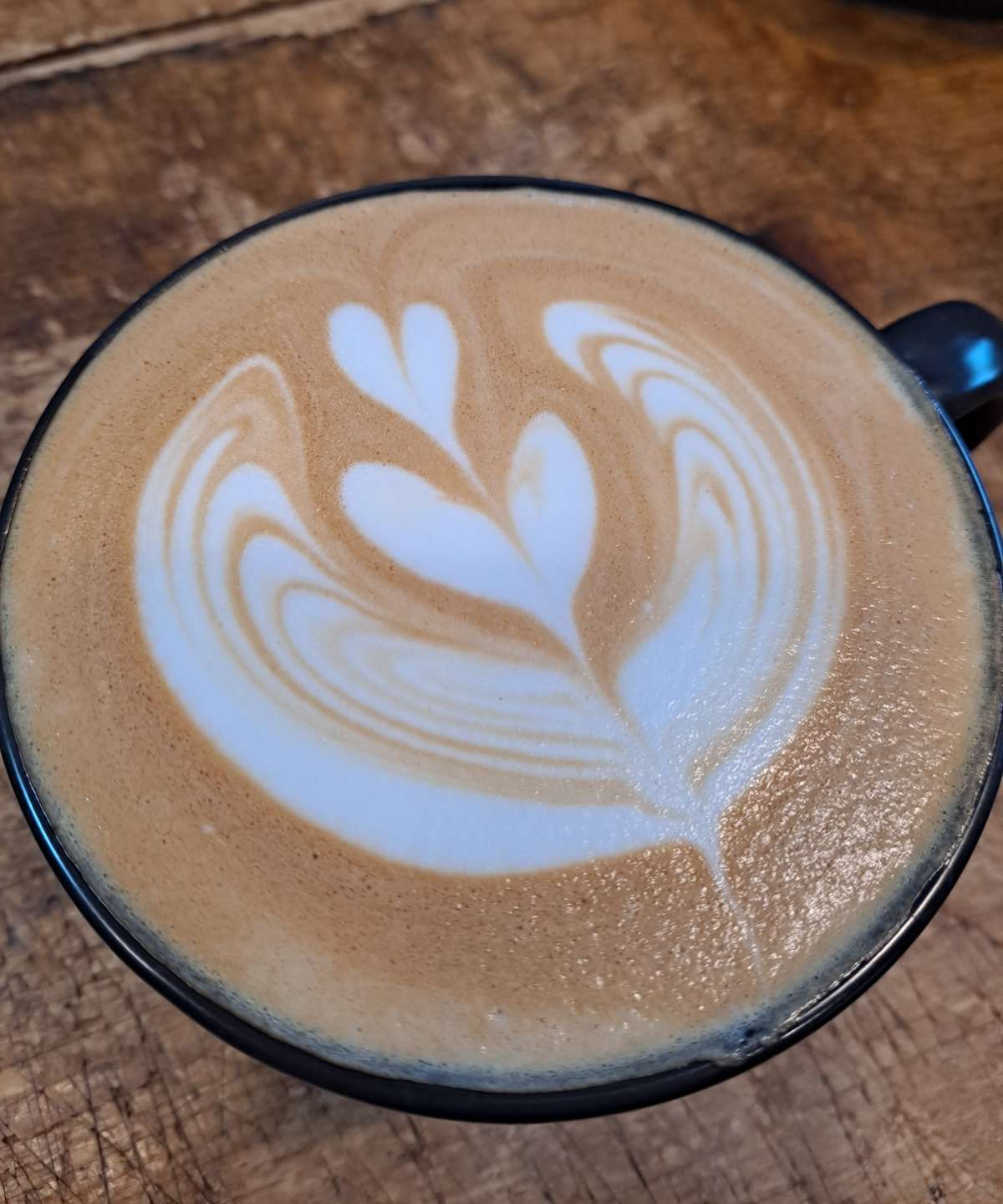 라떼아트 윙튤립1