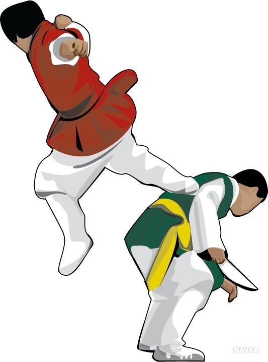 태껸 전통 틀의 현대적 활용