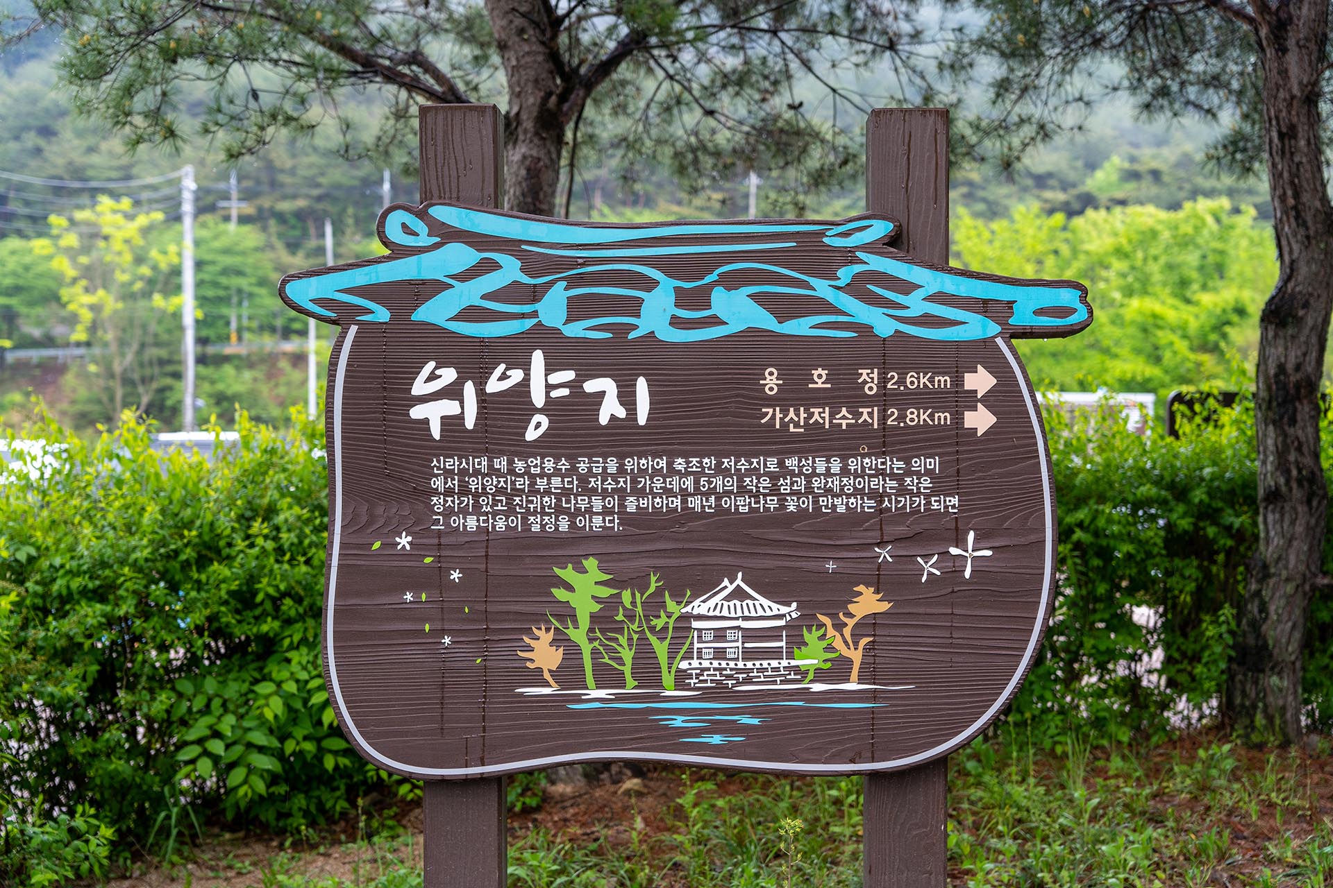 위양지 제방길