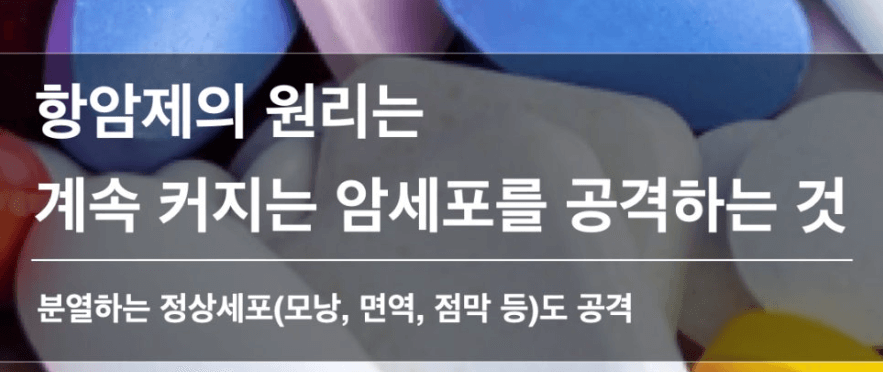 항암제의 원리